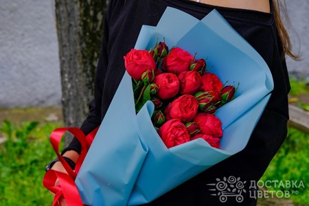 Букет из 9 пионовидных красных роз в пленке "Ред Пиано"